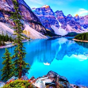 Meet your Posher, StarrPosh